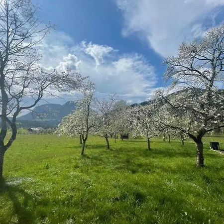 In Near Wilder Kaiser Area Feriehus Söll