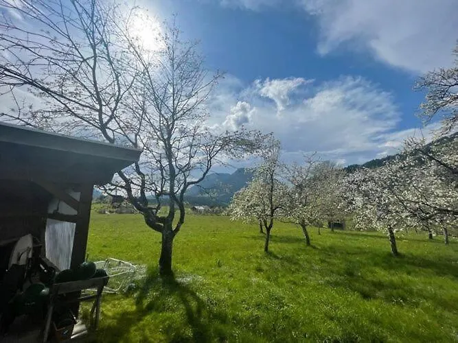 بيت للعطل In Near Wilder Kaiser Area سول