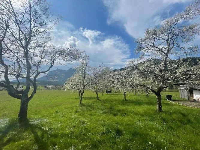 In Near Wilder Kaiser Area Ferienhaus Söll